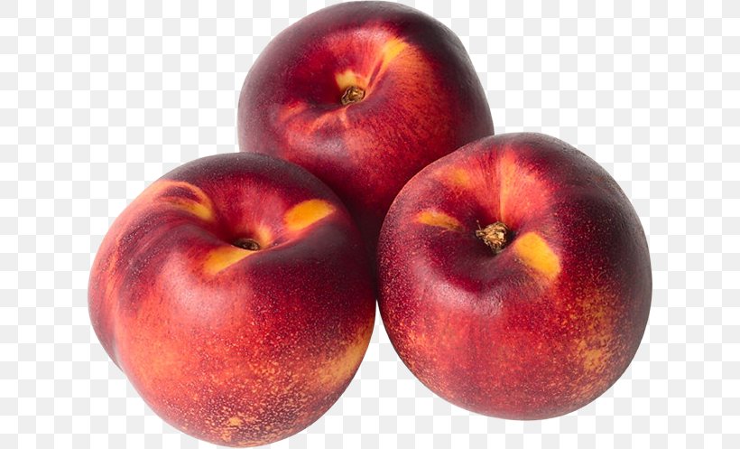 Nectarine Fruit Pluot Food Common Plum, PNG, 628x497px, Nectarine, Accessory Fruit, Apple, Auglis, Common Plum Download Free
