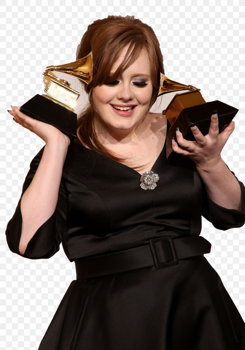 Adele 51st Annual Grammy Awards 54th Annual Grammy Awards Grammy Award For Best New Artist, PNG, 1024x1460px, Watercolor, Cartoon, Flower, Frame, Heart Download Free