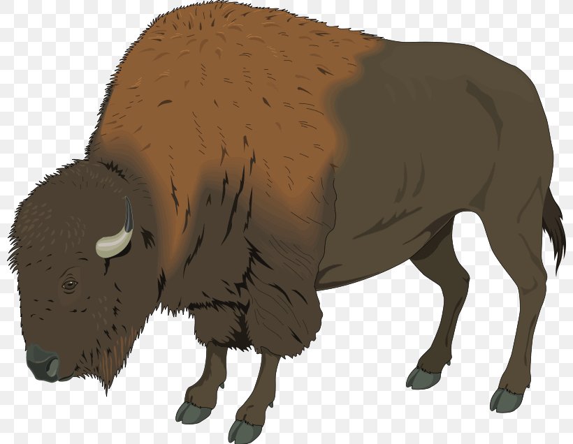 American Bison Clip Art Transparency Image, PNG, 800x636px, American Bison, Animal Figure, Bison, Bull, Cattle Like Mammal Download Free