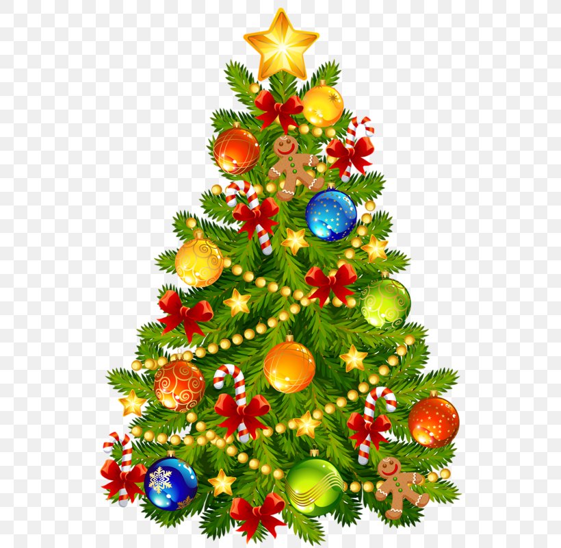 Christmas Tree Clip Art, PNG, 618x800px, Christmas Tree, Christmas, Christmas Decoration, Christmas Ornament, Clip Art Christmas Download Free