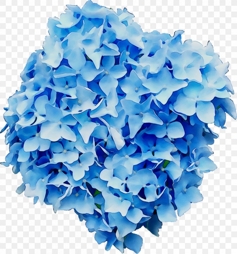 Hydrangeaceae Petal Cut Flowers, PNG, 1208x1294px, Hydrangea, Blue, Cobalt Blue, Cornales, Cut Flowers Download Free