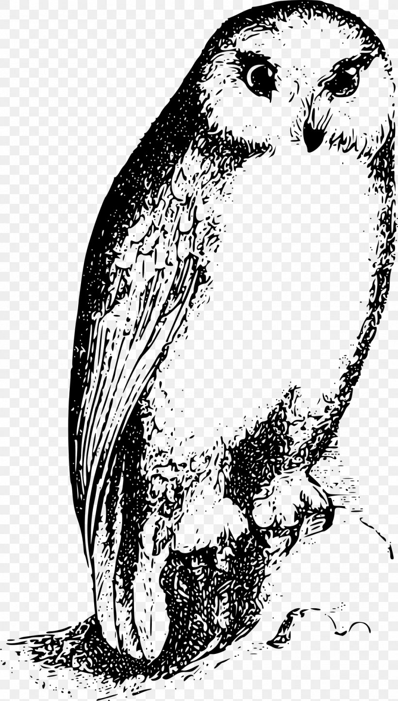 Owl Bird Clip Art, PNG, 1090x1920px, Owl, Animal, Art, Beak, Bird Download Free
