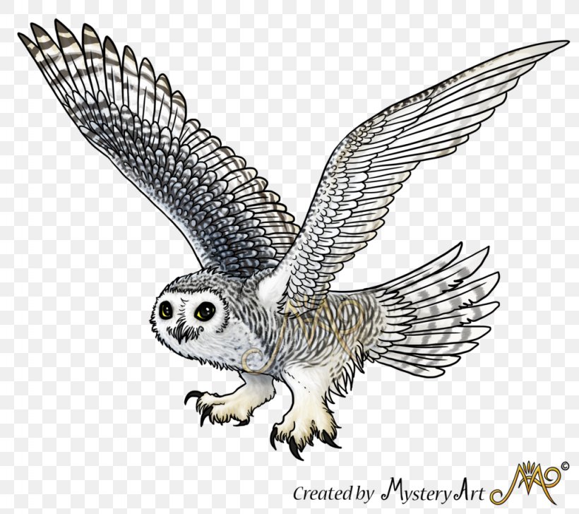 Snowy Owl Sketch, PNG, 1024x910px, Owl, Alexander Rybak, Beak, Bird, Bird Of Prey Download Free