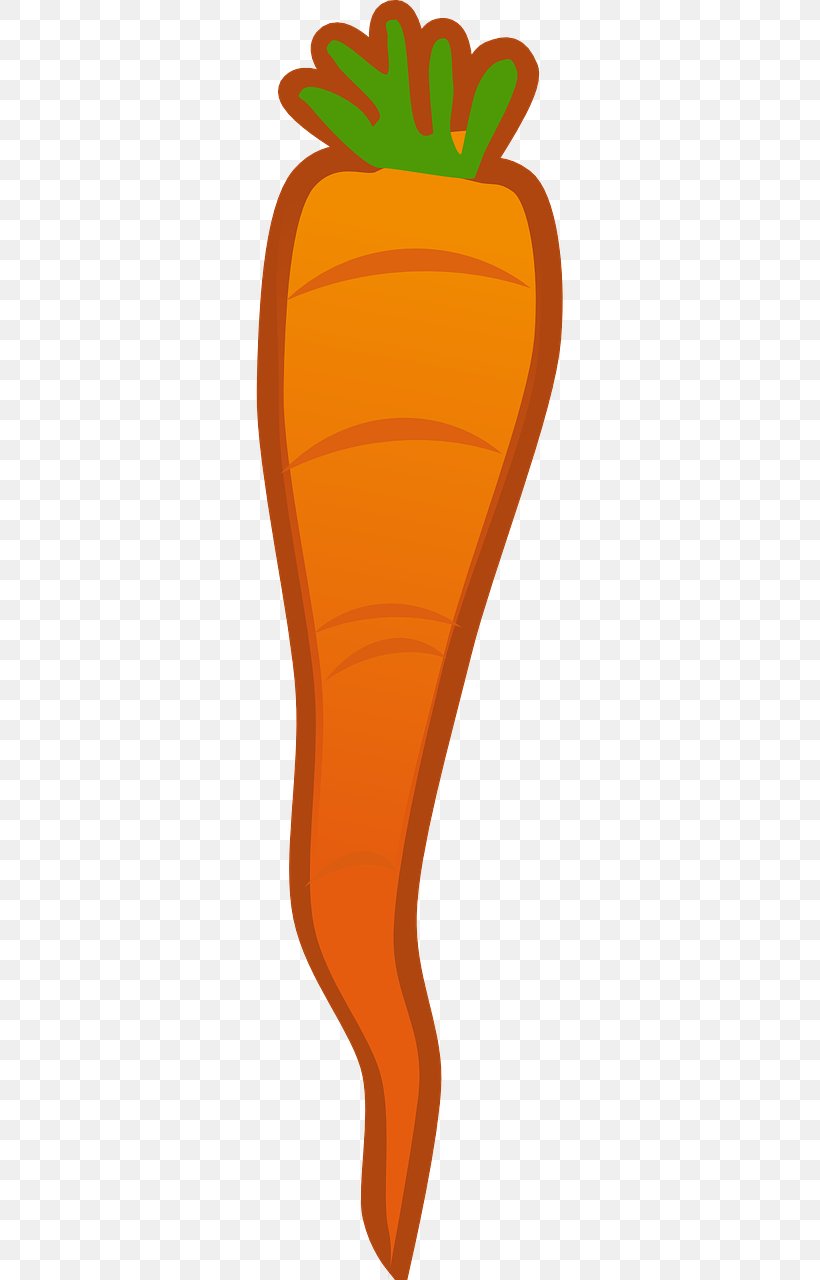 Baby Carrot Clip Art, PNG, 640x1280px, Carrot, Baby Carrot, Cartoon, Food, Fruit Download Free