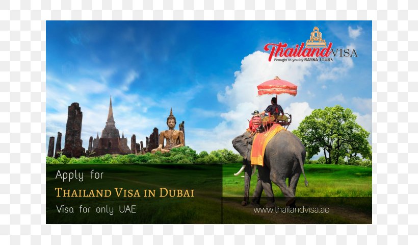 Chiang Mai Package Tour Pattaya Chiang Rai Travel, PNG, 640x480px, Chiang Mai, Advertising, Chiang Rai, Elephants And Mammoths, Grass Download Free