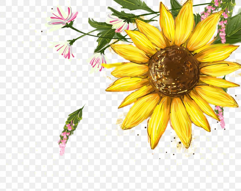 Flower, PNG, 2256x1783px, Flower, Common Sunflower, Daisy Family, Floral Design, Flowering Plant Download Free