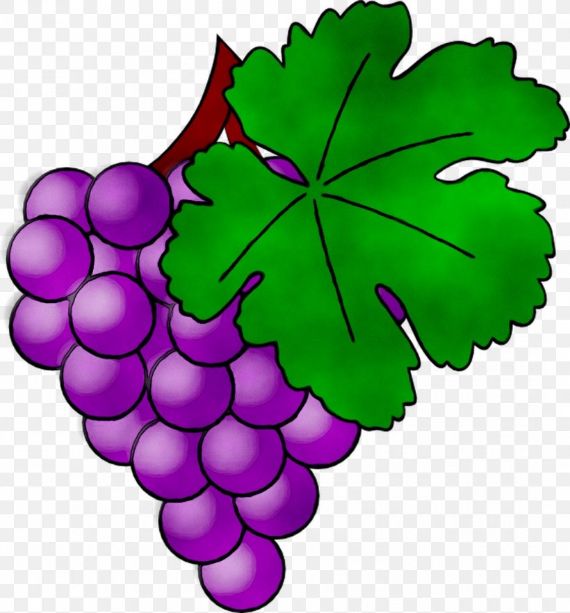 Grape Leaves Clip Art Microsoft PowerPoint Leaf, PNG, 1071x1153px, Grape, Blue, Flower, Flowering Plant, Grape Leaves Download Free