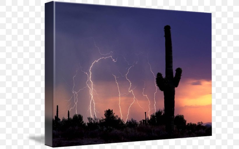 Sonoran Desert Sky Arizona Landscape Energy, PNG, 650x513px, Sonoran Desert, Arizona, Cactaceae, Cloud, Desert Download Free