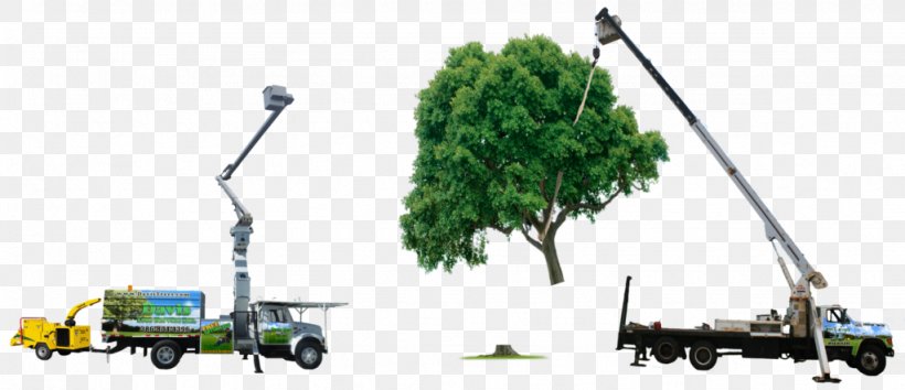 Tree Aerial Work Platform Truck Mode Of Transport, PNG, 1024x443px, Tree, Aerial Work Platform, Animation, Emergency, Emergency Service Download Free