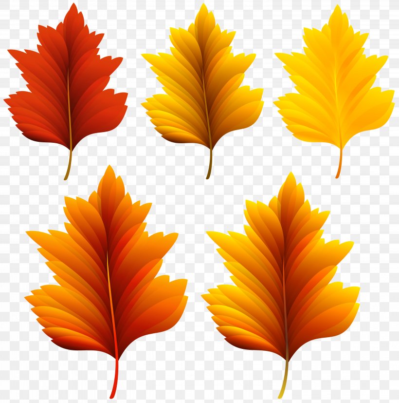 Autumn Leaf Color Clip Art, PNG, 6119x6175px, Leaf, Autumn, Autumn Leaf Color, Com, Maple Download Free