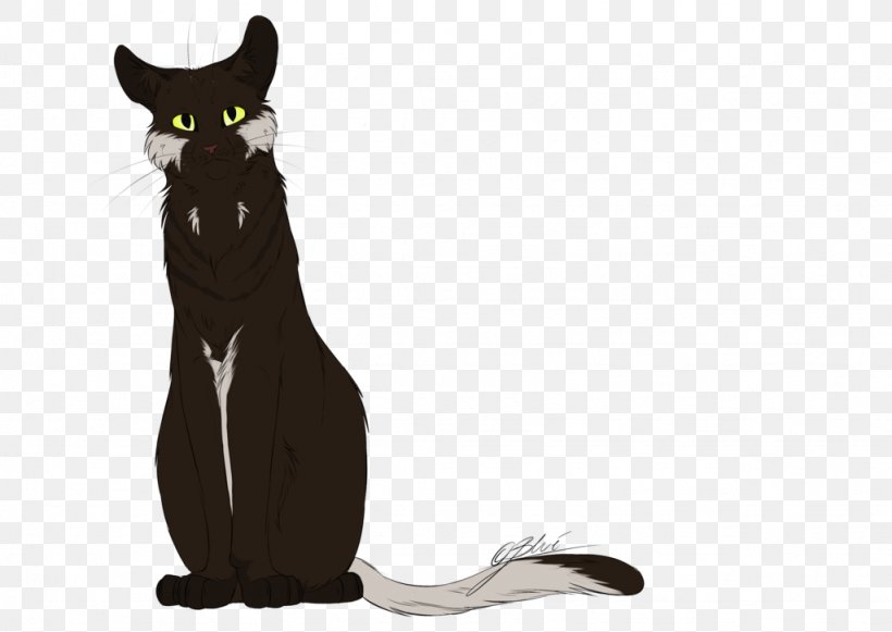 Cat Kitten Whiskers Mammal Carnivora, PNG, 1024x726px, Cat, Animal, Black Cat, Carnivora, Carnivoran Download Free