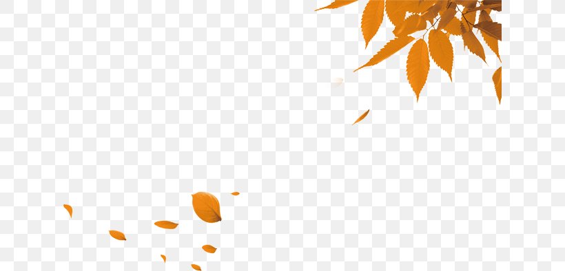 Double Ninth Festival Autumn CorelDRAW, PNG, 637x394px, Double Ninth Festival, Autumn, Branch, Cdr, Coreldraw Download Free