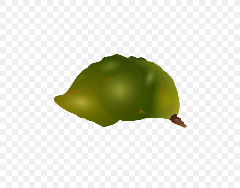 Fruit Drawing, PNG, 640x640px, Fruit, Auglis, Drawing, Leaf, Painting Download Free