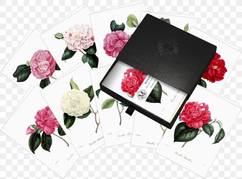 Garden Roses Chakra Noir Floral Design Cut Flowers, PNG, 1204x892px, Garden Roses, Art, Artificial Flower, Cut Flowers, Flora Download Free