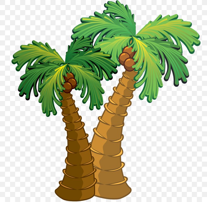 Palm Islands Saona Island Beach Coconut, PNG, 772x800px, Palm Islands, Arecaceae, Arecales, Beach, Cartoon Download Free