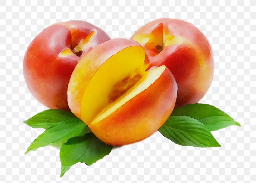 Peach European Plum Nectarines Natural Foods Fruit, PNG, 1000x716px, Watercolor, European Plum, Food, Fruit, Natural Foods Download Free