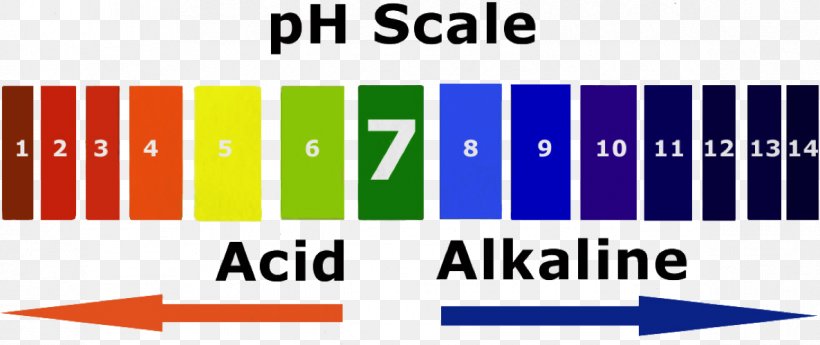PH Alkalinity Acid–base Reaction, PNG, 1186x499px, Alkalinity, Acid, Acid Strength, Acidity Function, Alkali Download Free