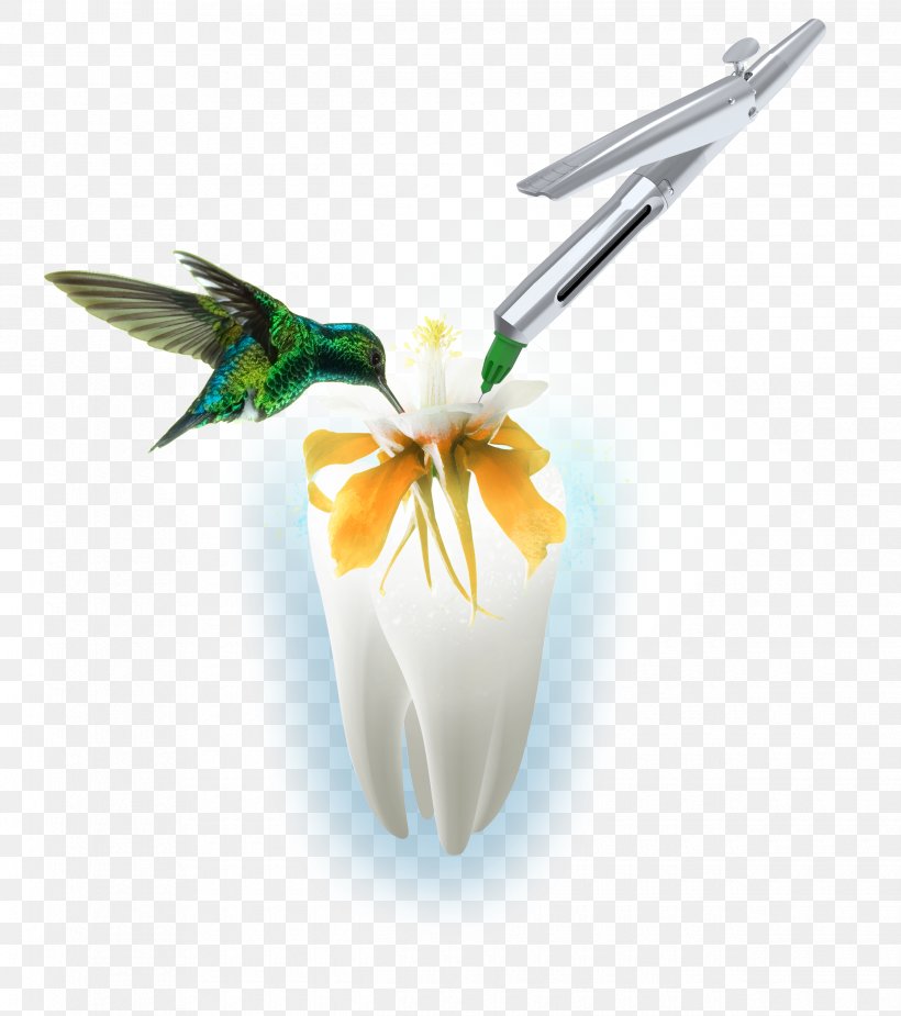 Syringe Injection Anesthesia Alaleuanluu Mandible, PNG, 2480x2800px, Syringe, Alaleuanluu, Anesthesia, Brochure, Dental Implant Download Free