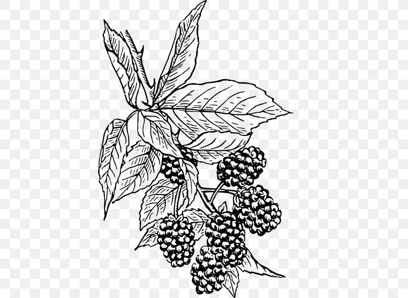 BlackBerry Curve Drawing Clip Art, PNG, 426x599px, Blackberry, Art, Artwork, Berry, Black And White Download Free
