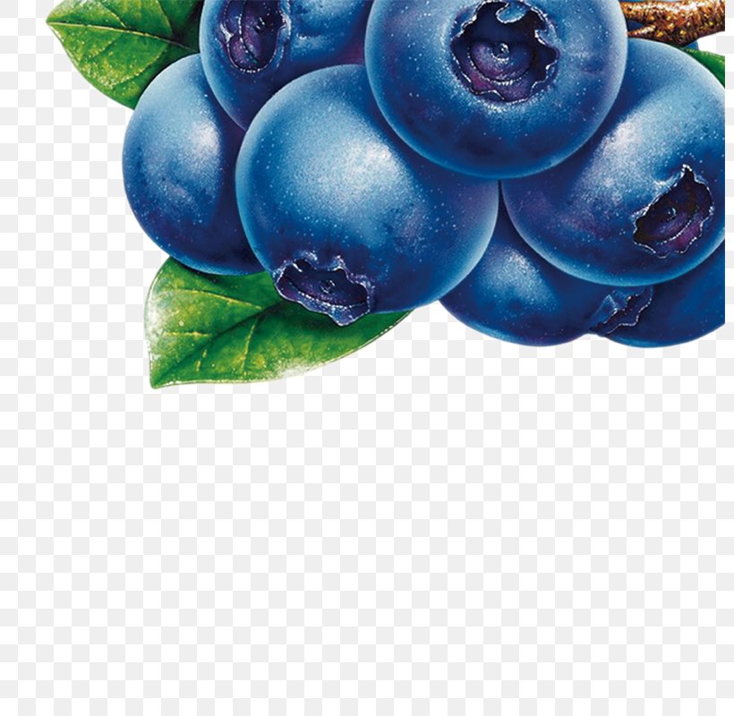 Blueberry Juice Bilberry Fruit Clip Art, PNG, 800x800px, Blue, Animation, Auglis, Berry, Bilberry Download Free