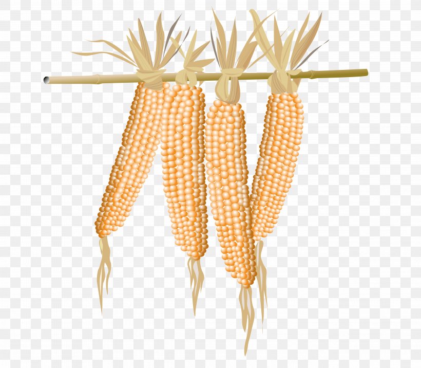 Popcorn Maize, PNG, 4867x4255px, Popcorn, Commodity, Depositfiles, Drawing, Ear Download Free