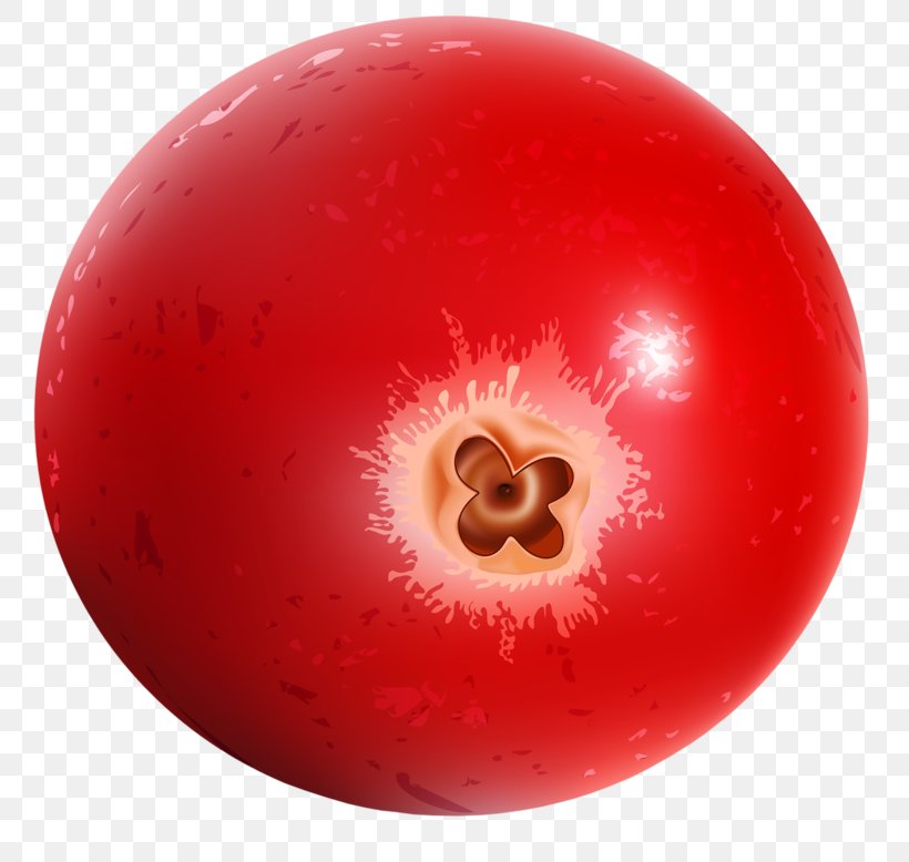 Red Tomato Vegetable, PNG, 800x778px, Red, Apple, Ball, Food, Fruit Download Free