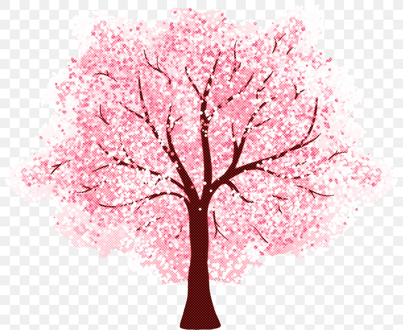 Cherry Blossom, PNG, 801x671px, Tree, Blossom, Branch, Cherry Blossom, Flower Download Free