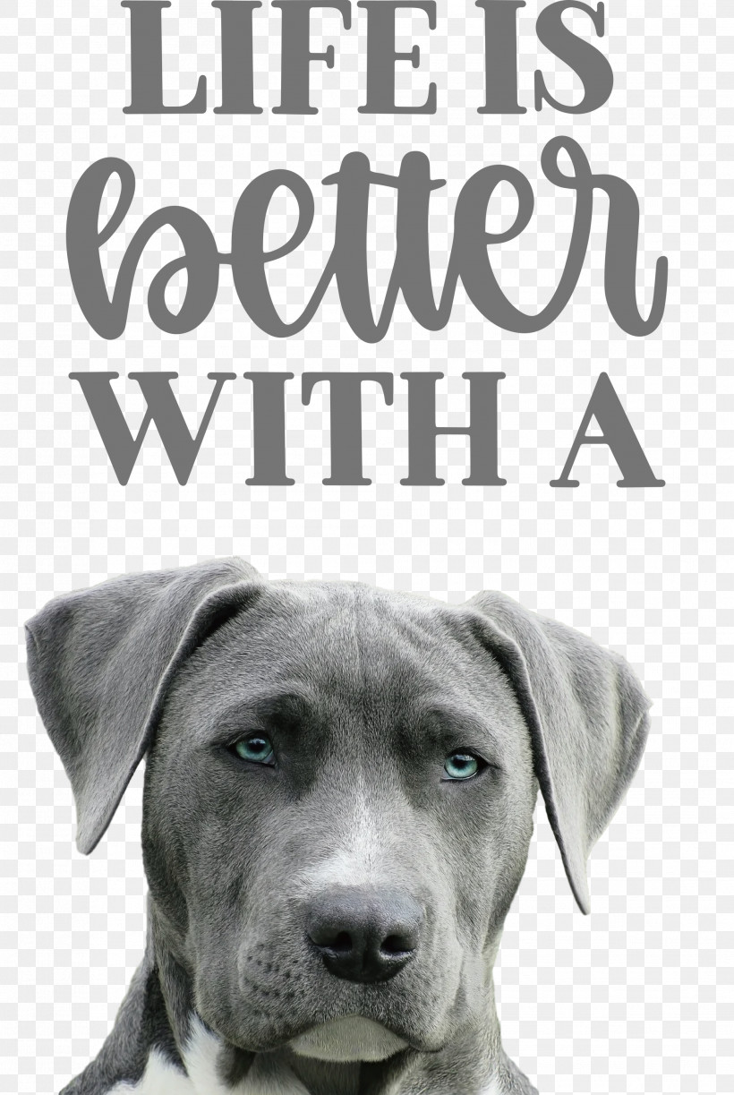 Life Better, PNG, 2011x3000px, Life, Better, Biology, Breed, Dog Download Free