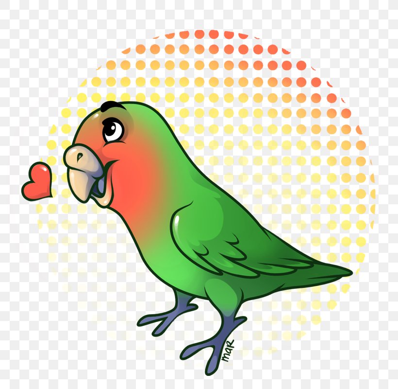Parrot Budgerigar Lovebird Parakeet Macaw, PNG, 800x800px, Parrot, Animal, Artwork, Beak, Bird Download Free