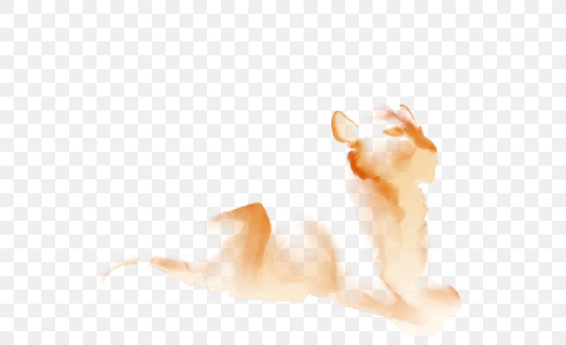 Whiskers Kitten Cat Paw Desktop Wallpaper, PNG, 640x500px, Whiskers, Carnivoran, Cat, Cat Like Mammal, Computer Download Free