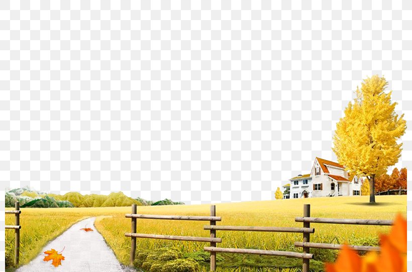 Autumn Download Illustration, PNG, 800x542px, Autumn, Cartoon, Deciduous, Field, Gold Download Free