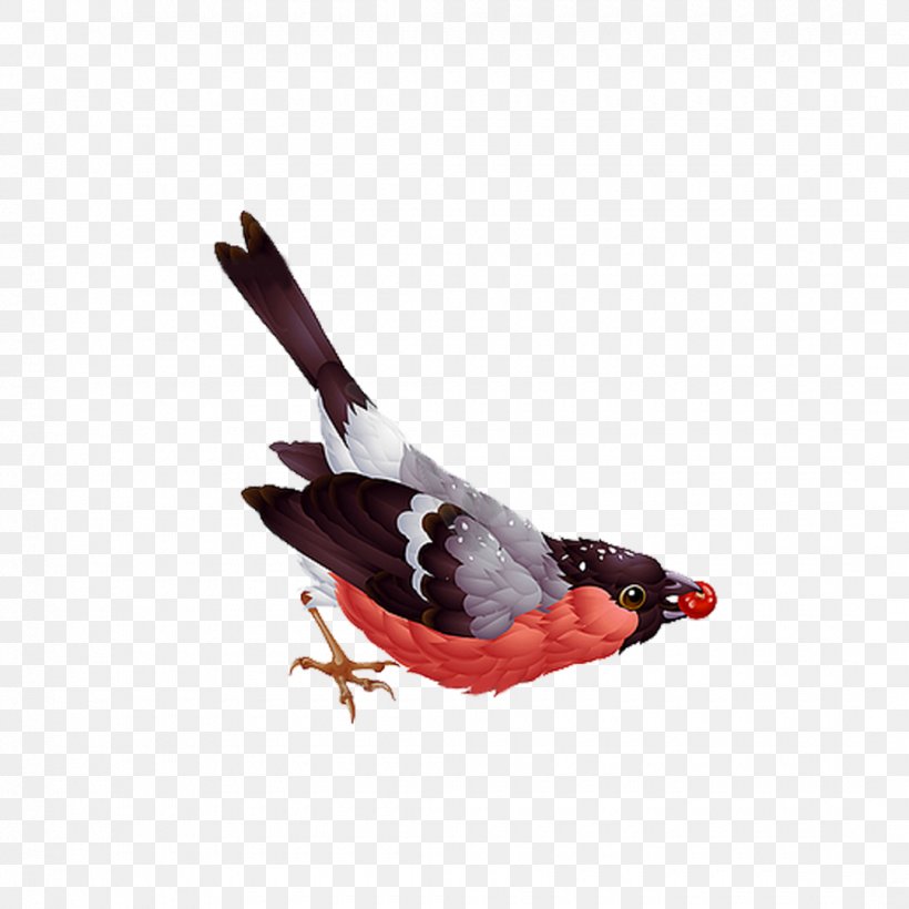Bird Eurasian Bullfinch Vector Graphics Clip Art Illustration, PNG, 1080x1080px, Bird, Beak, Bullfinch, Christmas, Christmas Card Download Free
