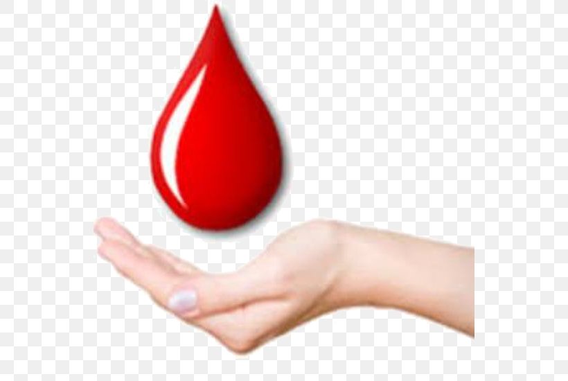 Premium Vector | Hand hold the blood drop icon, hand donate blood logo  vector