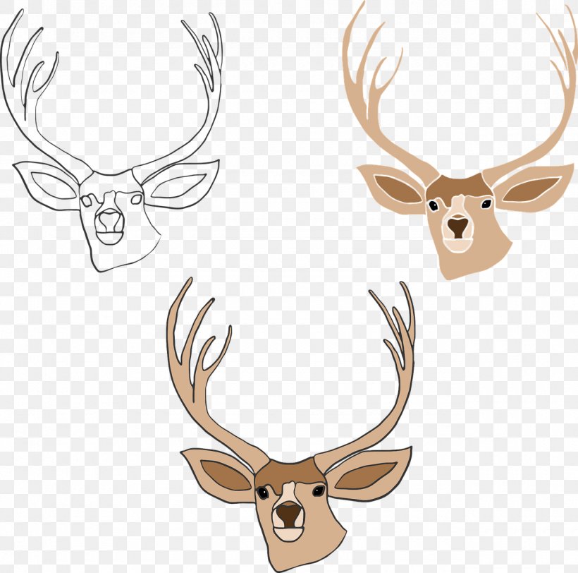 Elk Red Deer Reindeer Horn, PNG, 1280x1268px, Elk, Animal, Antler, Cervus, Deer Download Free