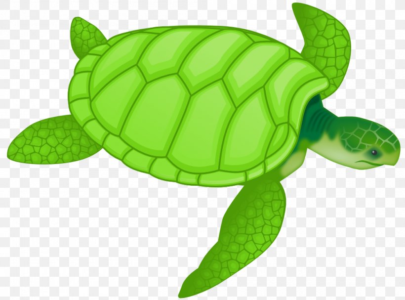 Green Sea Turtle Drawing Clip Art, PNG, 1000x741px, Turtle, Animal, Cartoon, Cuteness, Drawing Download Free