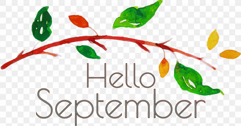 Hello September September, PNG, 3000x1570px, Hello September, Birds Eye Chili, Leaf, Logo, Meter Download Free