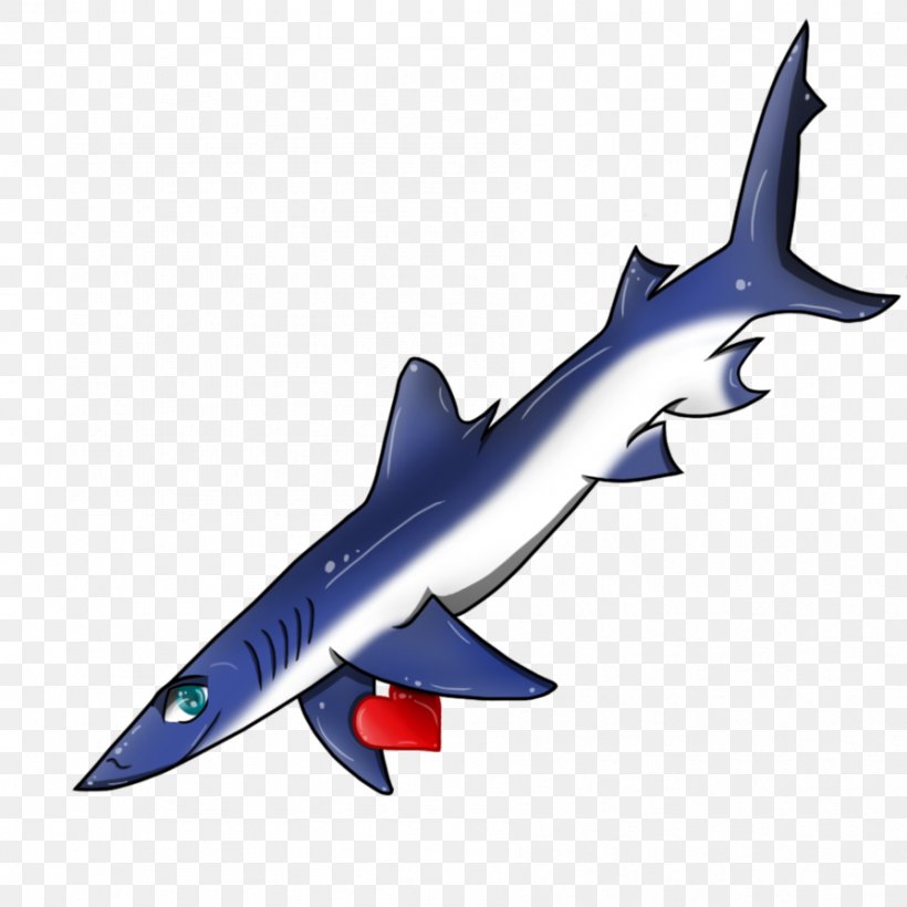 Squaliform Sharks Requiem Sharks Blue Shark Jumping The Shark Great White Shark, PNG, 894x894px, Watercolor, Cartoon, Flower, Frame, Heart Download Free