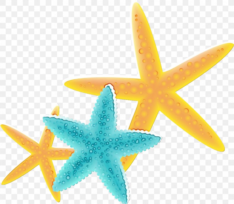 Starfish Marine Invertebrates Star, PNG, 1117x974px, Watercolor, Marine Invertebrates, Paint, Star, Starfish Download Free
