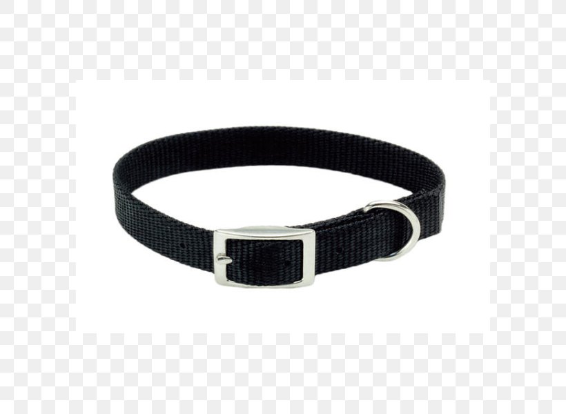 Dog Collar Belt Leash Choker, PNG, 600x600px, Collar, Belt, Belt Buckle, Bracelet, Buckle Download Free