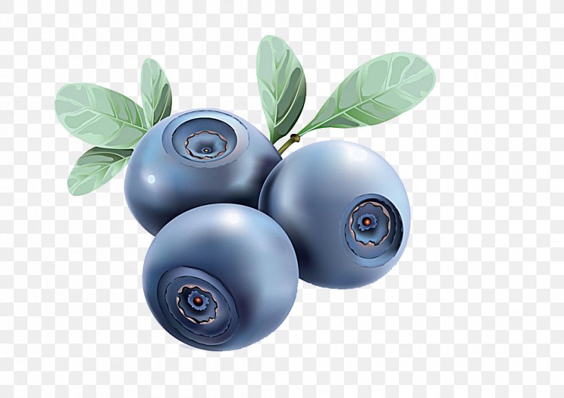 Euclidean Vector Blueberry, PNG, 1000x707px, Blueberry, Berry, Bilberry, Fruit, Painting Download Free