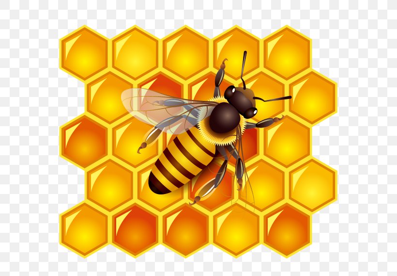 Honey Bee Honey Bee Honeycomb, PNG, 596x569px, Bee, Arthropod, Beehive, Cdr, Honey Download Free