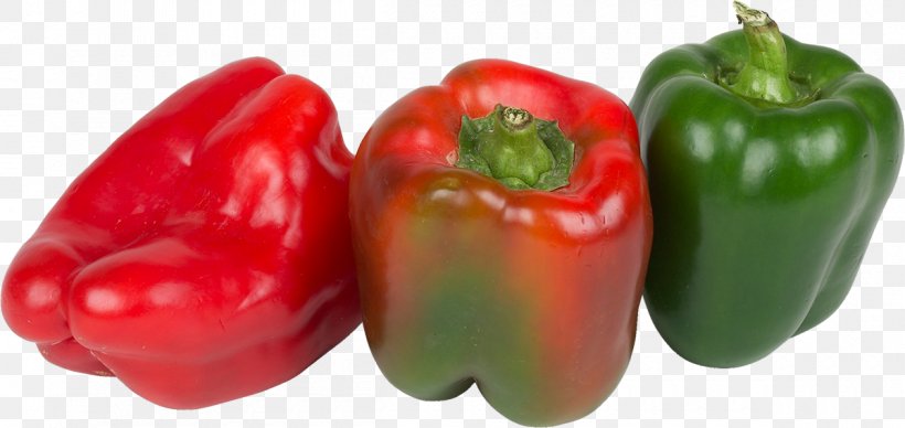 Piquillo Pepper Serrano Pepper Jalapexf1o Tabasco Pepper Cayenne Pepper, PNG, 1200x569px, Piquillo Pepper, Auglis, Bell Pepper, Bell Peppers And Chili Peppers, Capsicum Download Free