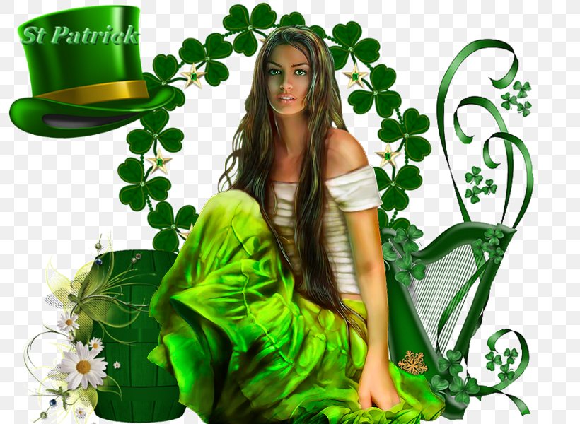 Saint Patrick's Day March 17 Party Irish People, PNG, 800x600px, Saint Patrick S Day, Birthday, Black Hair, Fictional Character, Grass Download Free