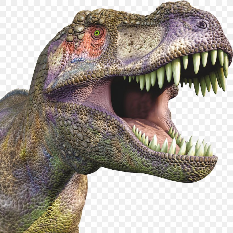 Tyrannosaurus Velociraptor Dinosaur, PNG, 883x883px, Danny And The Dinosaur, Dinosaur, Dinosaur Roar, Dinosaurs, Dinosaurs Prehistoric Animals Download Free
