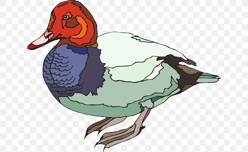 Duck Bird Goose Clip Art, PNG, 640x502px, Duck, Anatidae, Art, Beak, Bird Download Free