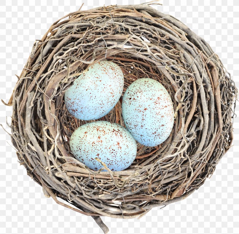 Egg Bird Nest Clip Art, PNG, 1362x1333px, Egg, Bird, Bird Nest, Depositfiles, Easter Download Free