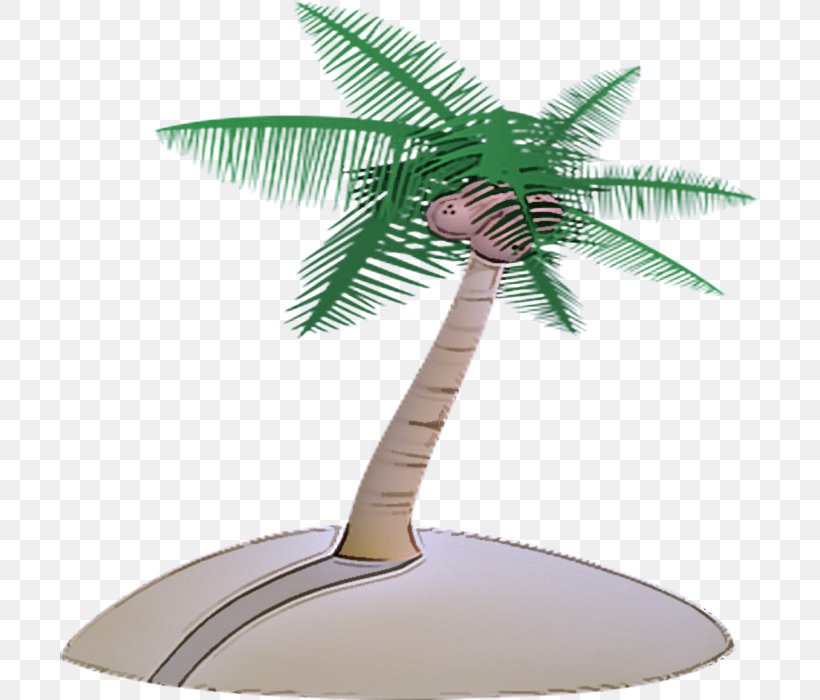 Palm Tree, PNG, 700x700px, Palm Tree, Arecales, Coconut, Green, Leaf Download Free