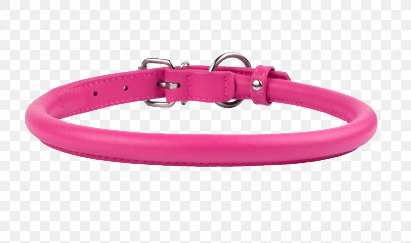 Puppy Dog Collar Dog Collar Leather, PNG, 1100x650px, Puppy, Bracelet, Collar, Dog, Dog Collar Download Free