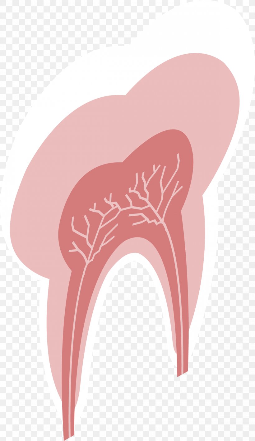 Shoulder Tooth Illustration, PNG, 1189x2050px, Watercolor, Cartoon, Flower, Frame, Heart Download Free