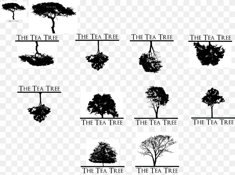 Tree Nature Silhouette Arecaceae Font, PNG, 1561x1163px, Tree, Arecaceae, Black And White, Nature, Plant Download Free
